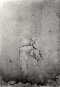 男裸体 作者 米开朗基罗（Michelangelo Buonarroti）